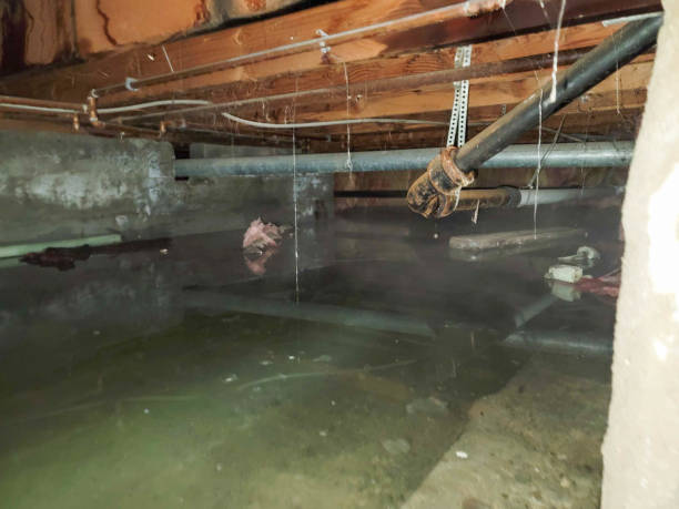 Best Water damage restoration near me  in Winter Springs, FL