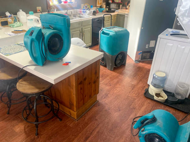 Best 24-hour water damage restoration  in Winter Springs, FL
