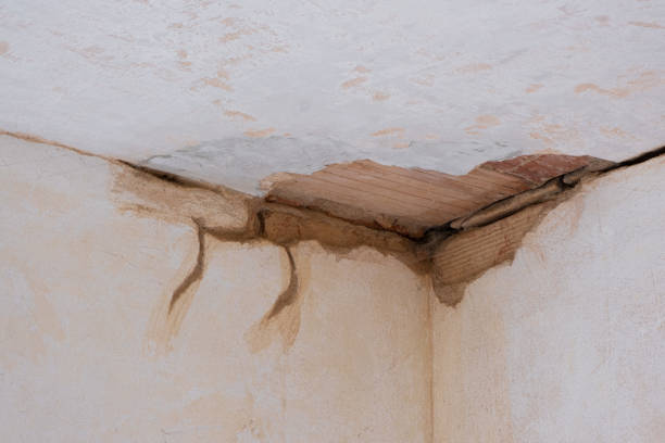 Best Water damage contractors near me  in Winter Springs, FL