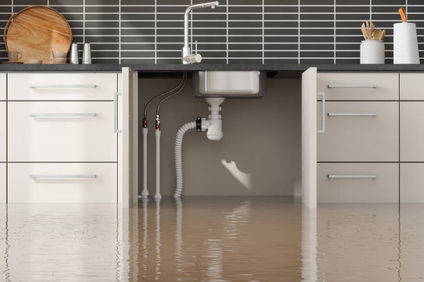 Best 24/7 water damage repair  in Winter Springs, FL